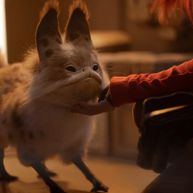 Star Wars Pets